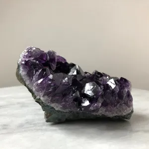 Amethyst Cluster | Medium