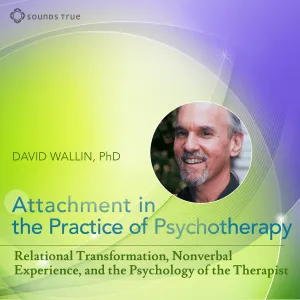 Attachment in the Practice of Psychotherapy