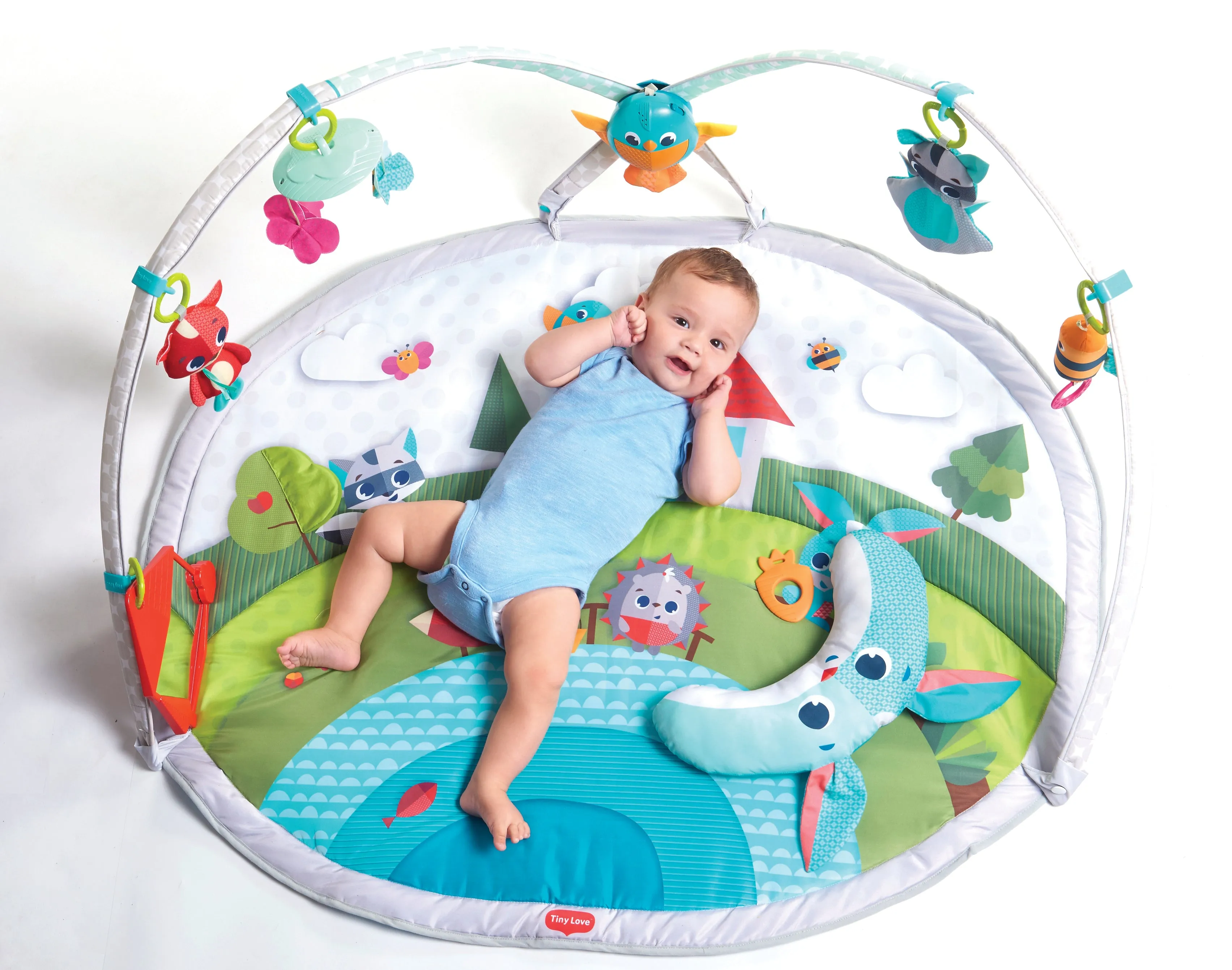 DYNAMIC PLAY GYM | Baby Play Mat & Activity Gym with Music & Light