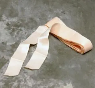 Freed Pointe Shoe Ribbon