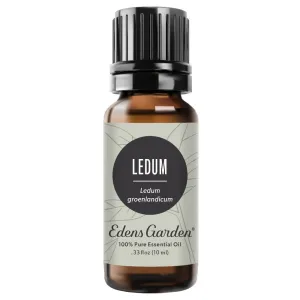 Ledum Essential Oil